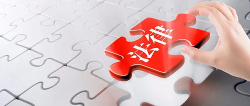 金稅四期時代 企業(yè)資產管理的合規(guī)挑戰(zhàn)與應對策略