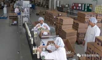 投資1000萬美元的化妝品加工廠在安開業(yè)，引領本土美妝產業(yè)新格局